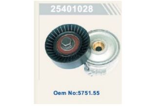 ALTERNATÖR GERGİ RULMANI PARTNER II BERLİNGO II P406 2,0HDI 8V 05>08 P307 P resmi