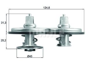 TERMOSTAT THERMOSTAT İNSERT resmi