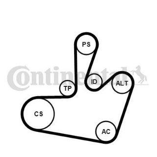 KANALLI V KAYIŞ SETİ BORA 99>05 GOLF IV 98>06 A3 01>03 LEON 00>06 TOLEDO 99>04 OCTAVIA 97>11 1.4 1.6 AHW AKQ BCA AEE APE AXP resmi