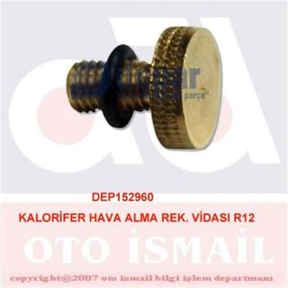 KALORİFER HAVA ALMA REK. VİDASI R12 resmi